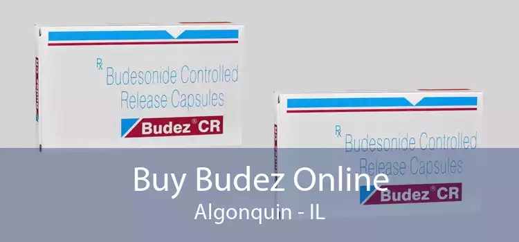 Buy Budez Online Algonquin - IL