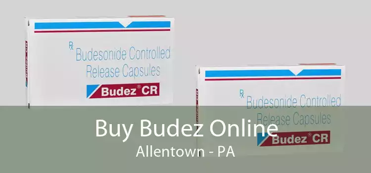 Buy Budez Online Allentown - PA