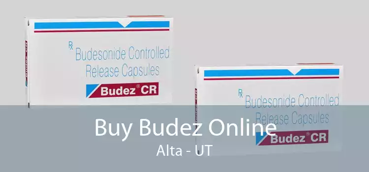 Buy Budez Online Alta - UT