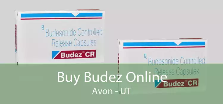 Buy Budez Online Avon - UT