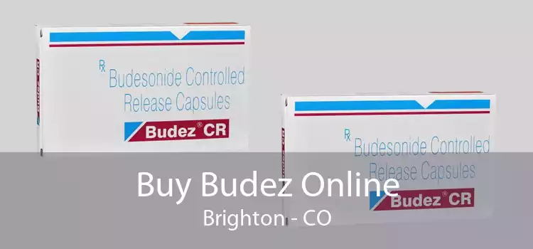 Buy Budez Online Brighton - CO