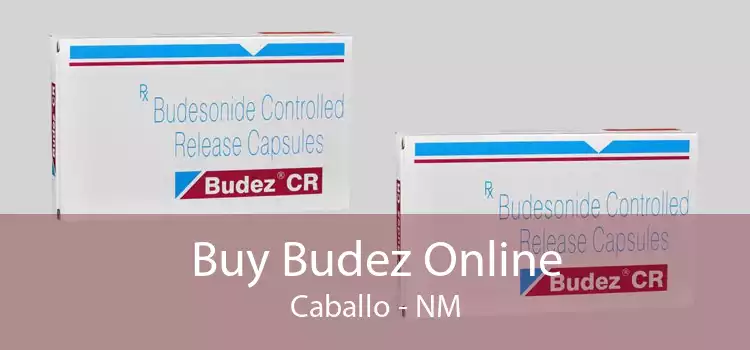 Buy Budez Online Caballo - NM