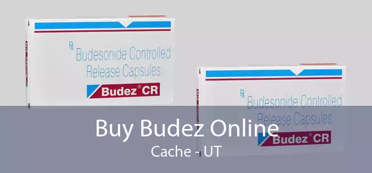 Buy Budez Online Cache - UT