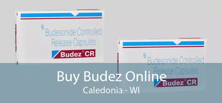 Buy Budez Online Caledonia - WI