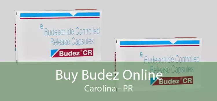 Buy Budez Online Carolina - PR
