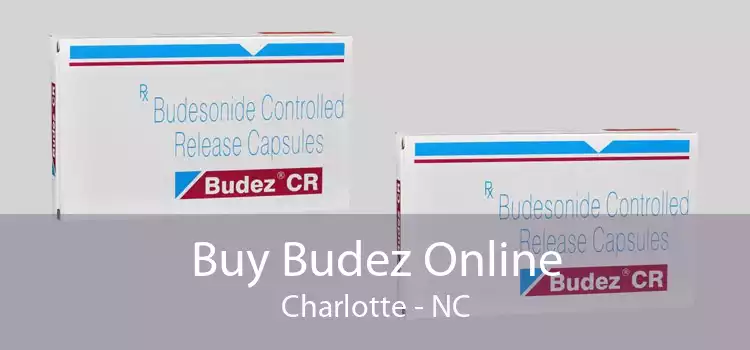 Buy Budez Online Charlotte - NC