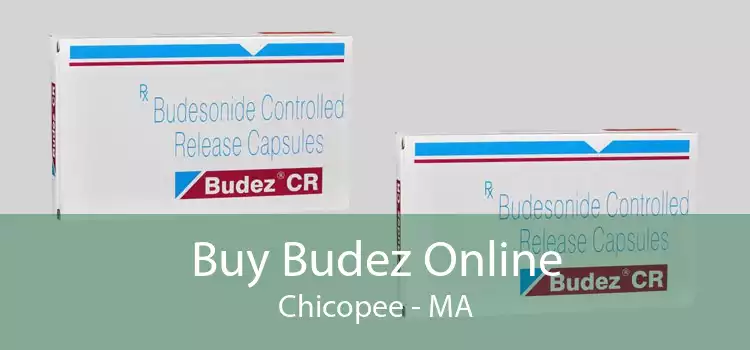 Buy Budez Online Chicopee - MA