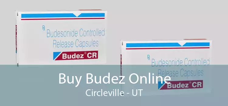 Buy Budez Online Circleville - UT