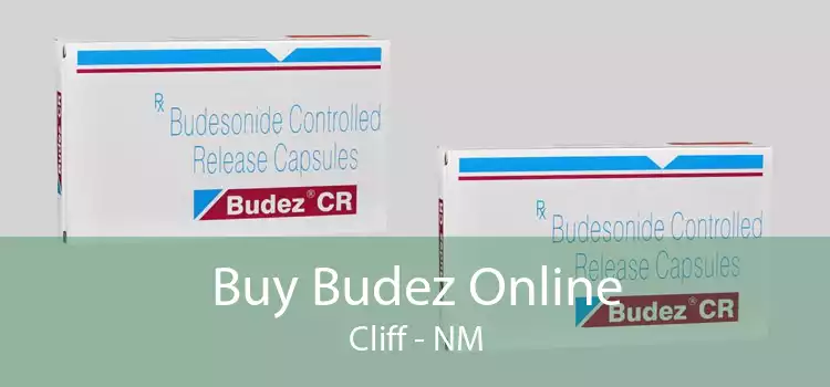 Buy Budez Online Cliff - NM