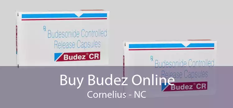 Buy Budez Online Cornelius - NC