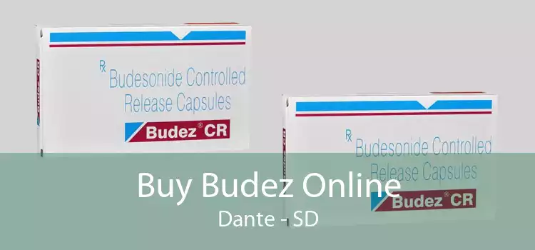 Buy Budez Online Dante - SD