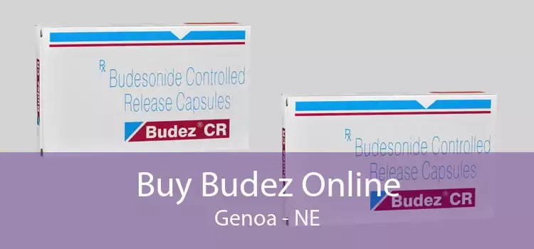 Buy Budez Online Genoa - NE