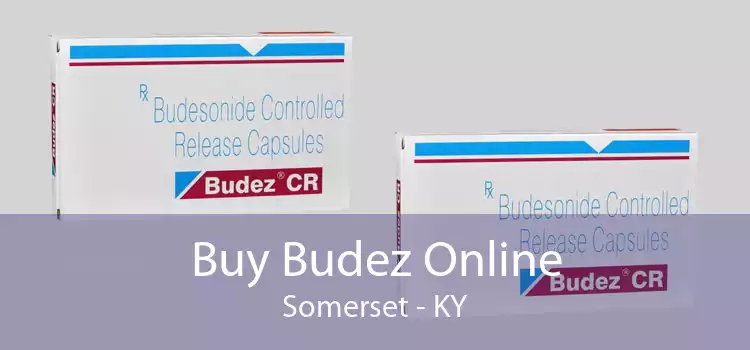 Buy Budez Online Somerset - KY